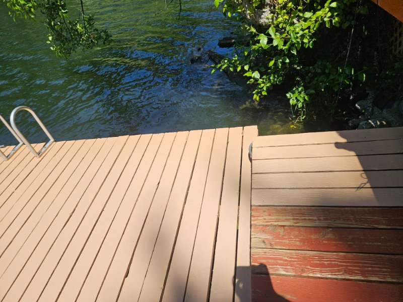Dock Painting